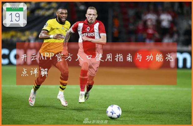 开云APP官方入口使用指南与功能亮点详解